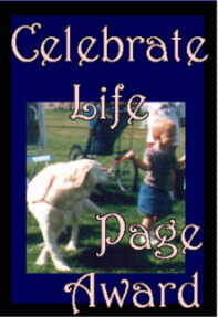 Celebrate Life Award