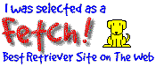 FETCH! Best Retriever Site